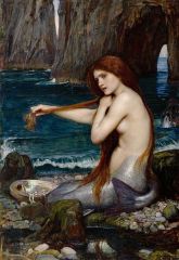 The Mermaid