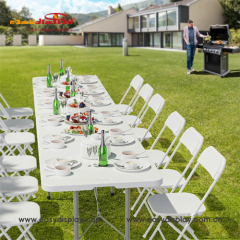 {easydisplay, fresh display solutions},Easydisplay, We Create Visibility