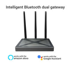 Zigbee 3.0 Dual Gateway Hub