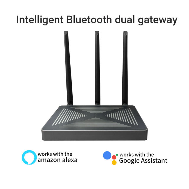 Zigbee 3.0 Dual Gateway Hub