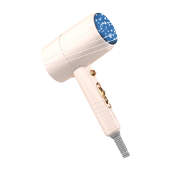 Dual-Speed Hair Dryer for Home, Dorm, and Hotel Use