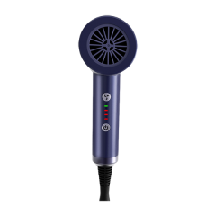 High-Powered Hair Dryer with Ionic Technology for Smooth and Frizz-Free Hair