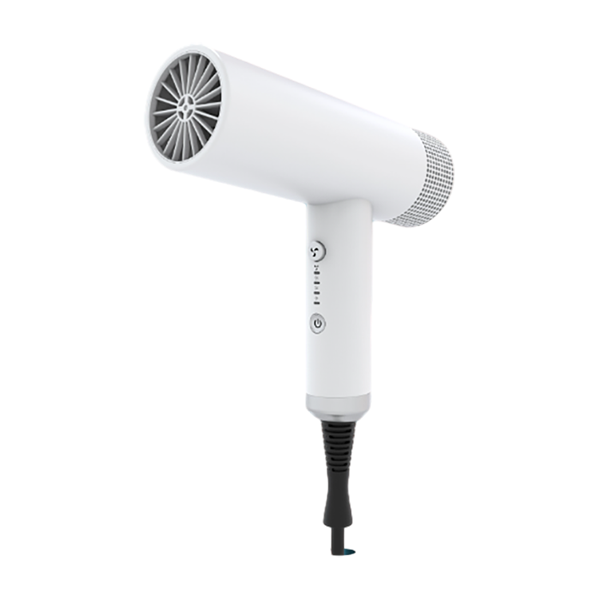 High-Powered Hair Dryer with Ionic Technology for Smooth and Frizz-Free Hair