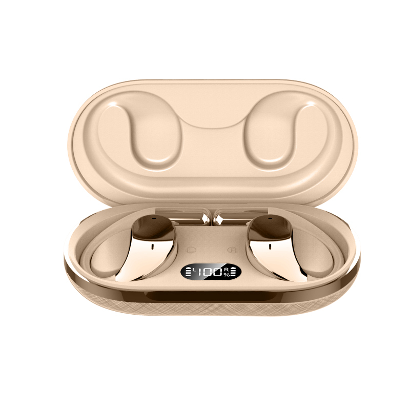 Luxury Earhook E11S Bluetooth Earphones with Leather Charging Case - Latest Design