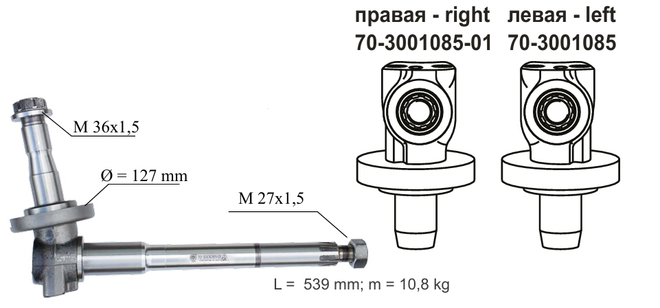 ЦАПФА ПОВОРОТНАЯ
 МТЗ-80  70-3001085
левая - left

 Steering stub MTZ-80