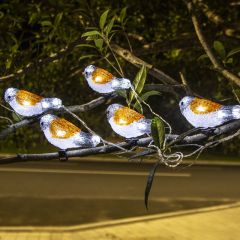 5pcs Solar Robin Lights