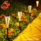 Pack of 2 Solar Pathway Lights