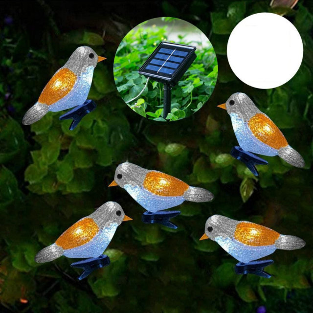 5pcs Solar Robin Lights