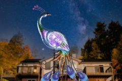 Metal Peacock Solar Stake Light