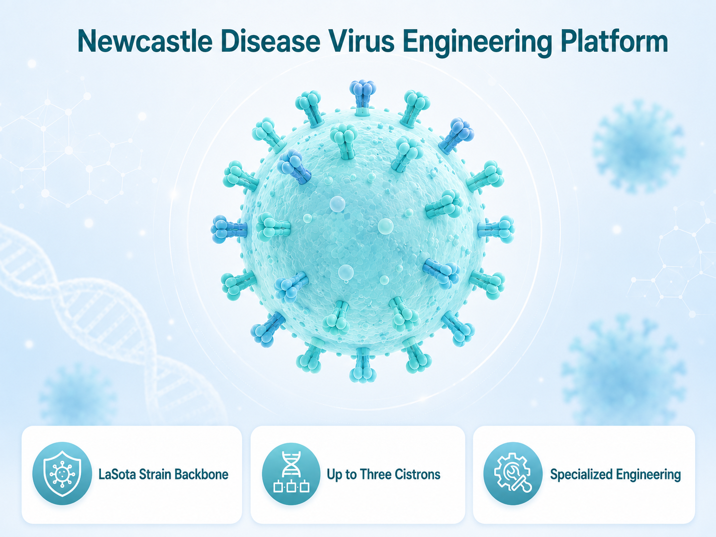 Newcastle Disease Virus Customization Platform
