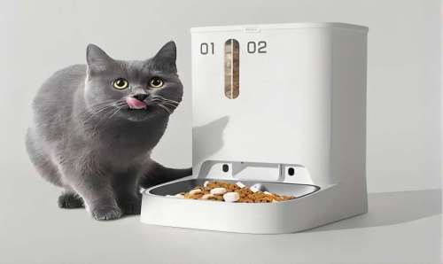 Pet feeder