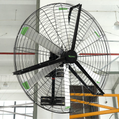 High-Efficiency 2m Oscillating Wall-Mounted Industrial Fan