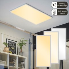 2.4G 595*1195mm 60120 CCT Tunable 2700-6500K LED Panel Light