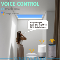 600*1200mm Sunrise and Sunset Simulation Virtual Roof LED Skylight