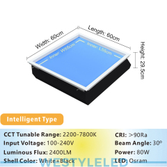 300*600mm Sunrise and Sunset Simulation Virtual Roof LED Skylight