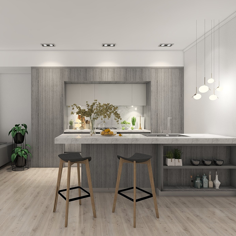 Contemporary Kitchen Cabinets
