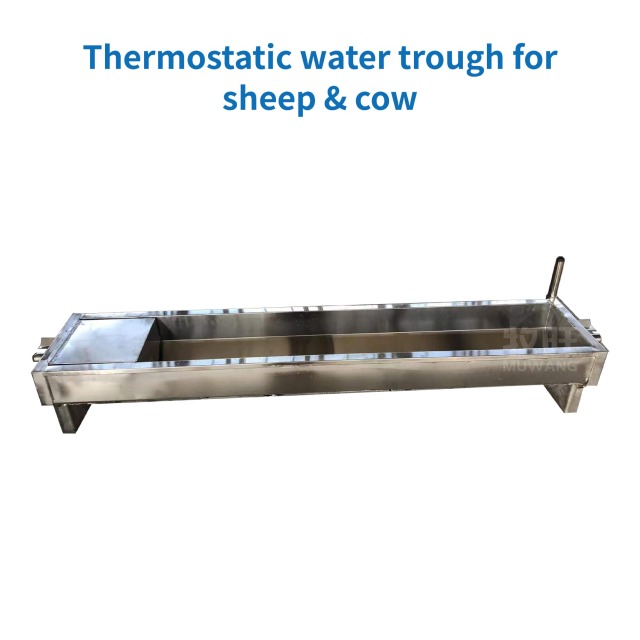 Thermostatic water trough
