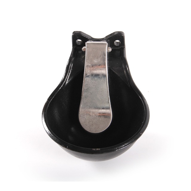 Cast Iron drinking bowl