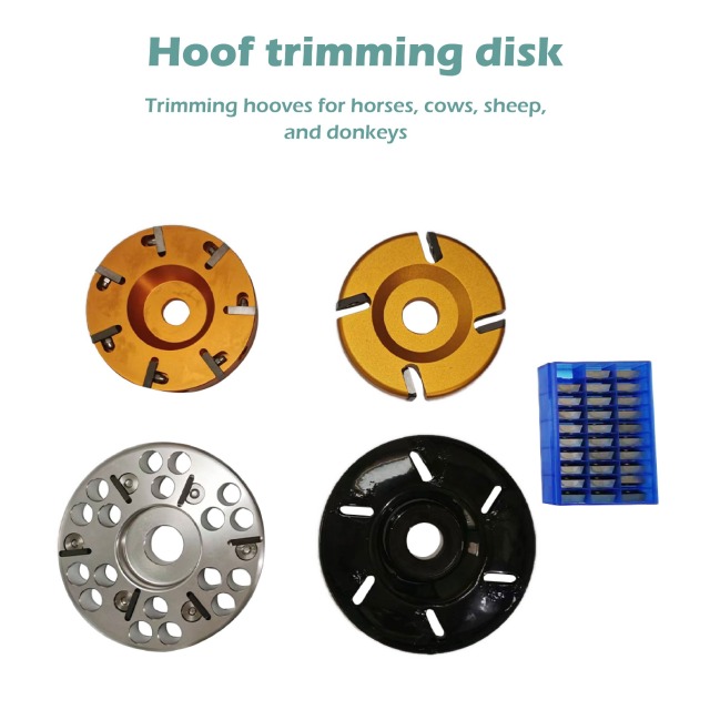 Hoof trimming disk