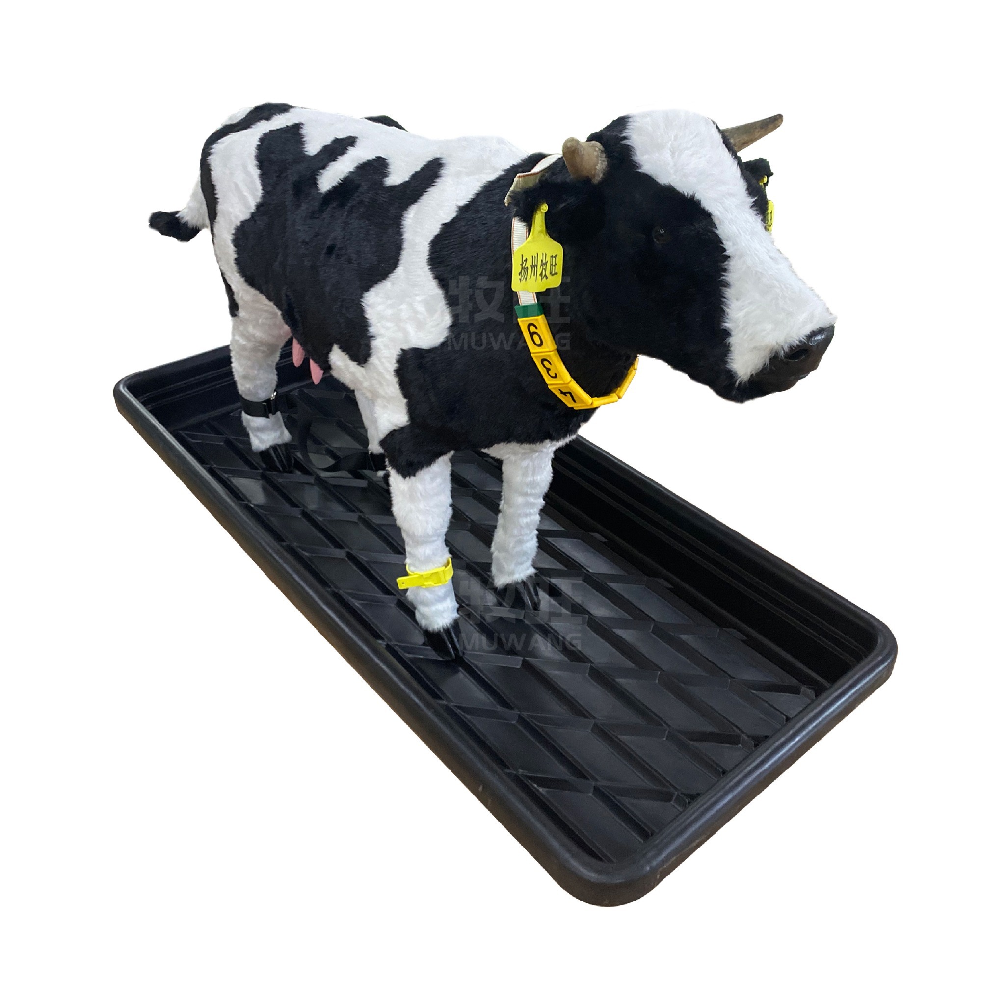 Cattle foot bath container