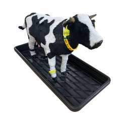 Cattle foot bath container