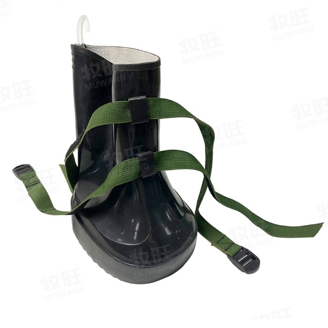 Cattle boots