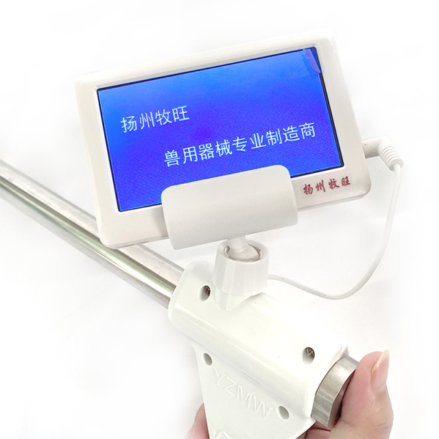 Visual artificial insemination gun