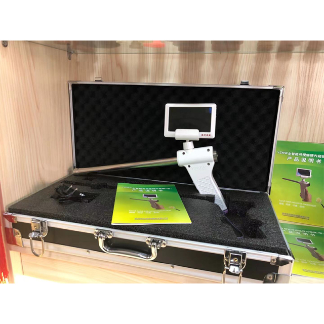 Visual artificial insemination gun