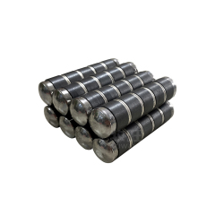 Cow stomach magnet 02