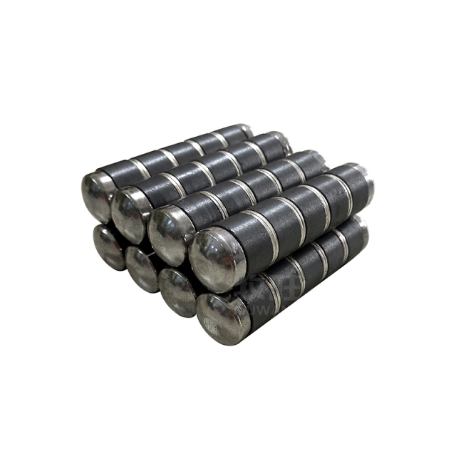 Cow stomach magnet 02