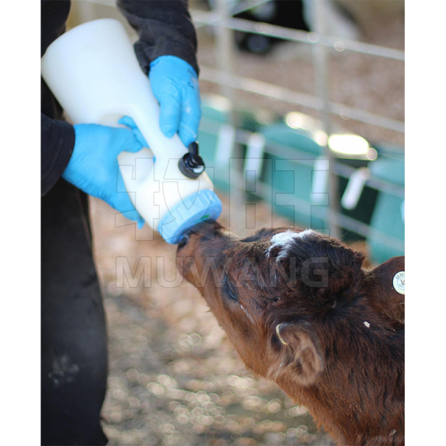 2.5L Milk feeding bottle