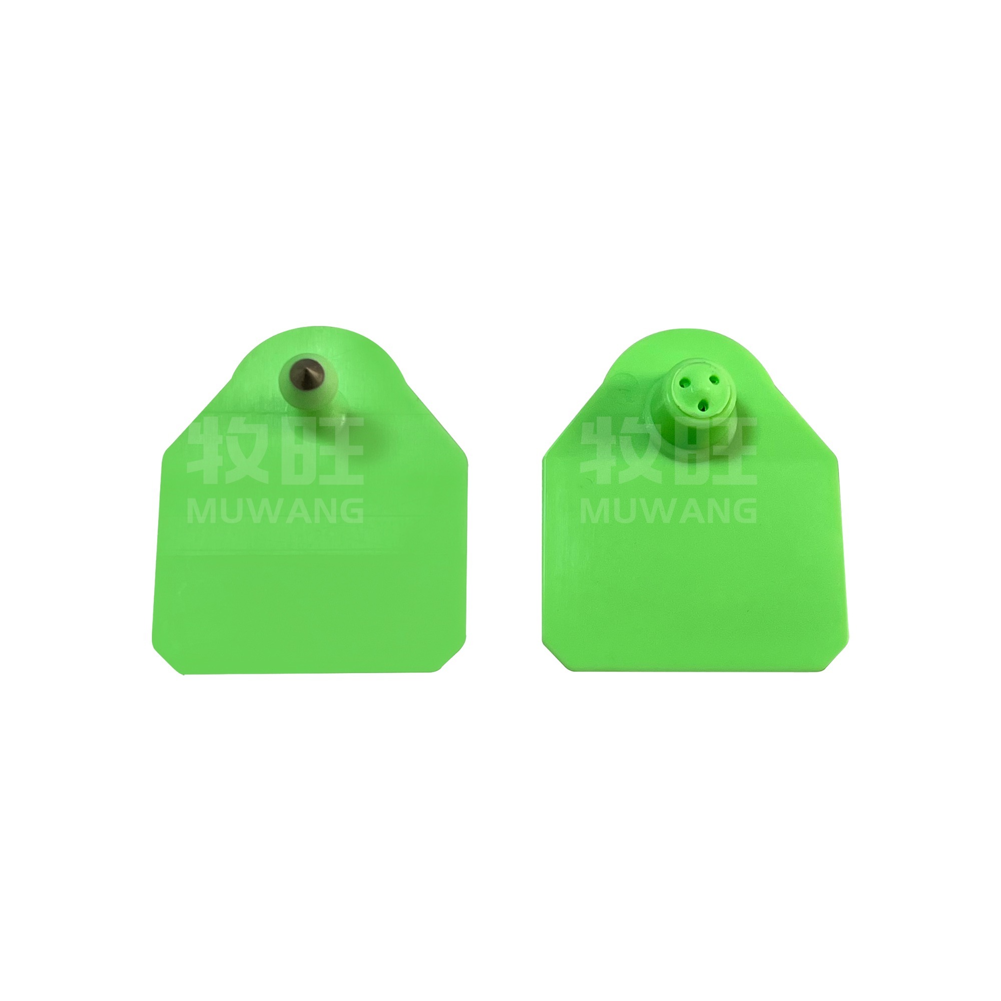 Sheep ear tag