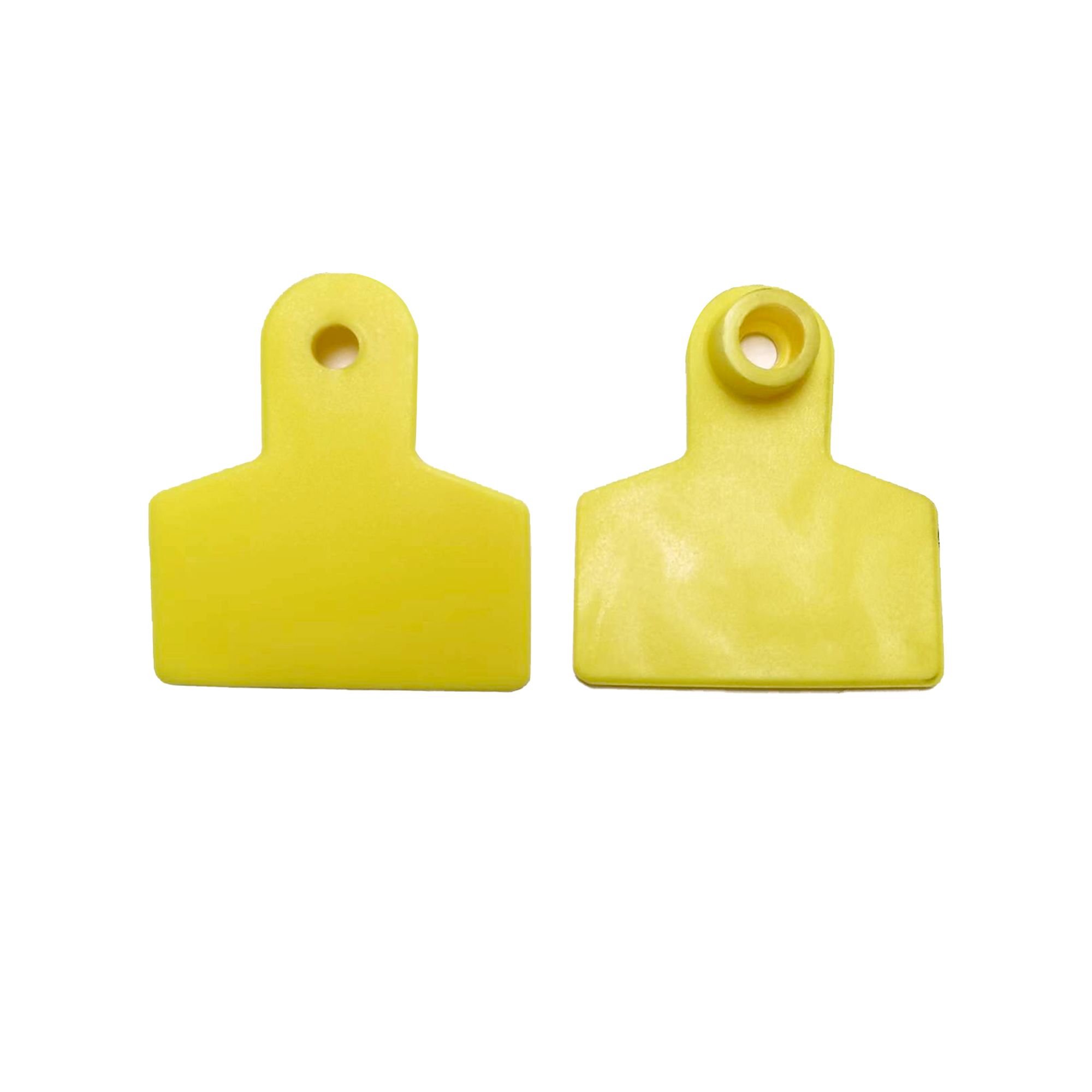 Pig ear tag