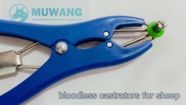 Plastic Castration plier