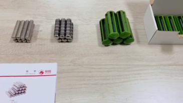 Cow stomach magnet 01