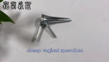 Vaginal speculum for cow/sleep