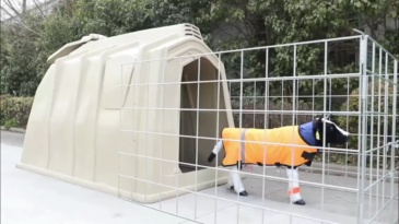 Calving hutches and accessory