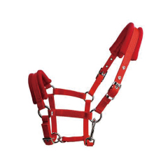 Horse halter