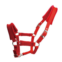 Horse halter