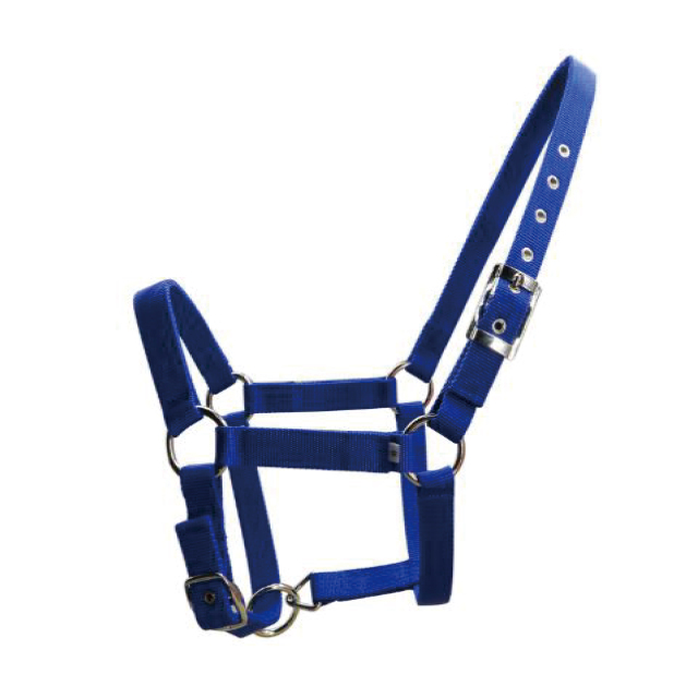 Horse halter