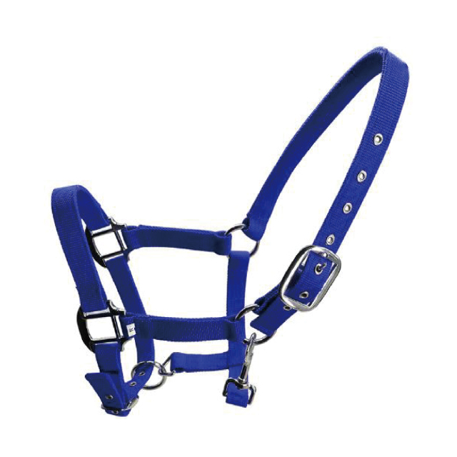 Horse halter