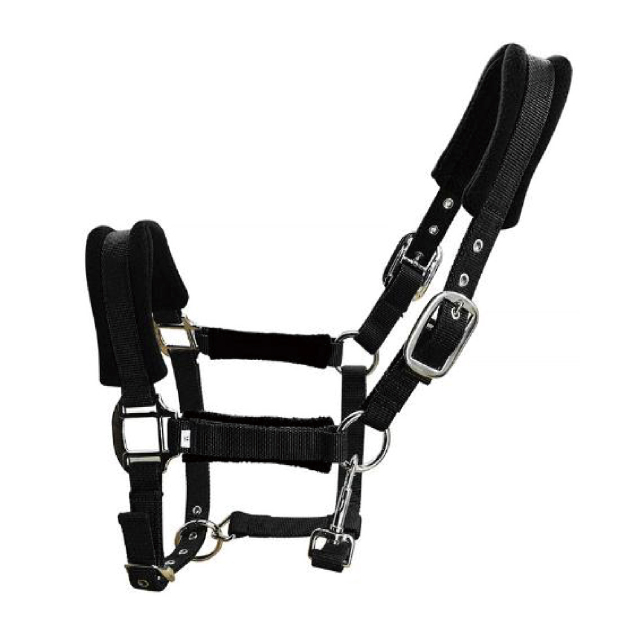 Horse halter