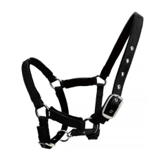 Horse halter