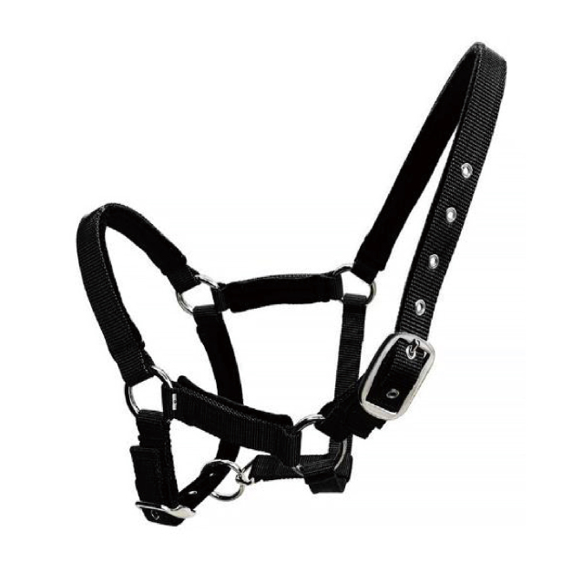 Horse halter