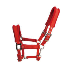 Horse halter