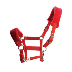Horse halter
