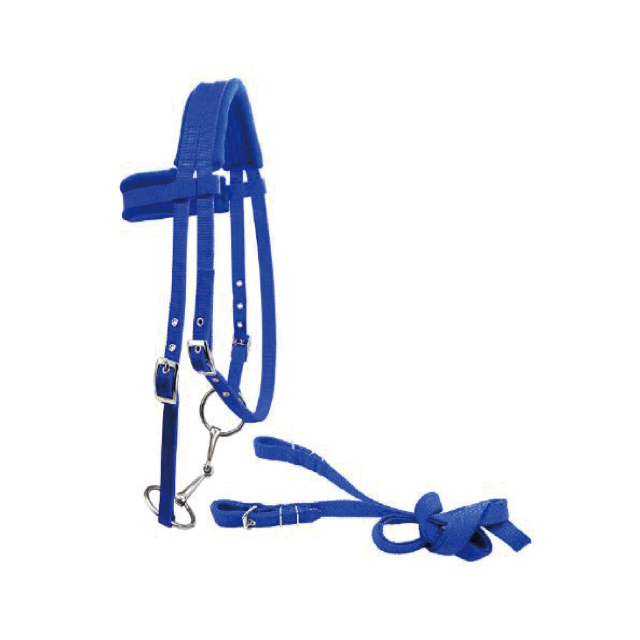 Horse bridle