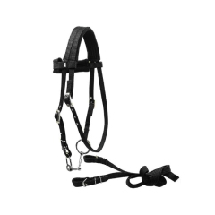Horse bridle