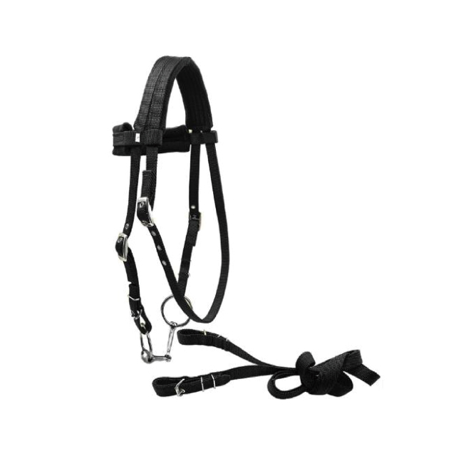 Horse bridle