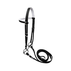 Horse bridle